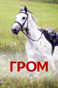 Гром